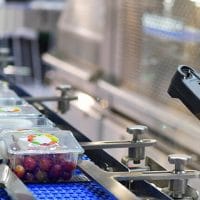 limpieza-produccion-frutas