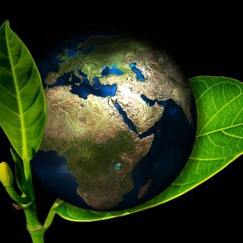 limpieza ecológica